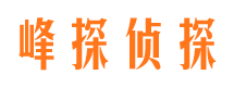 硚口市侦探公司